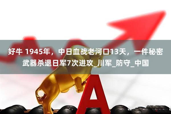 好牛 1945年，中日血战老河口13天，一件秘密武器杀退日军7次进攻_川军_防守_中国
